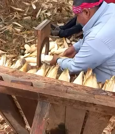 Corn Husk for Tamales - Essential